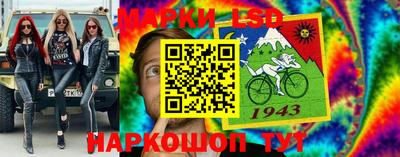 Альфа ПВП Заволжье