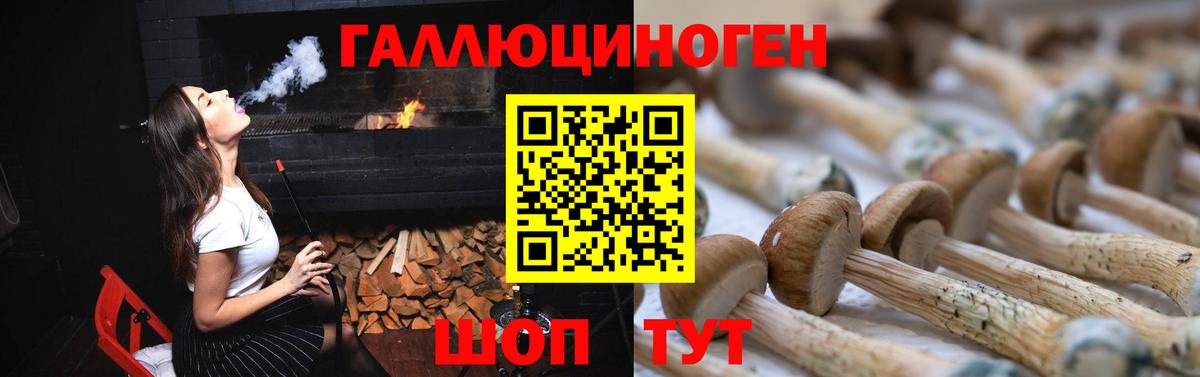 Псилоцибиновые грибы Magic Shrooms  Вход с VPN  Кушва 